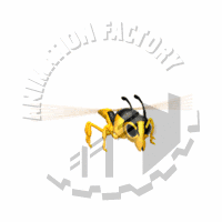 Wasp Animation