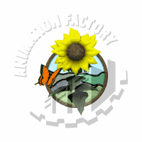 Sunflower Animation