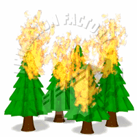 Conifers Animation
