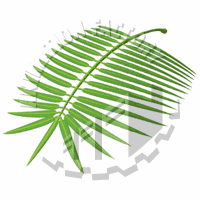 Frond Animation
