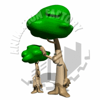 Trees Animation