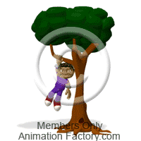Branch Animation