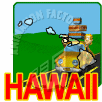 Hawaii Animation