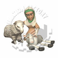Sheep Animation