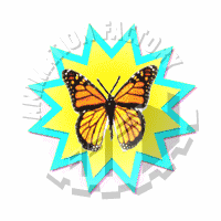 Butterfly Animation