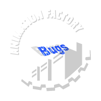 Bugs Animation