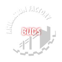 Bugs Animation