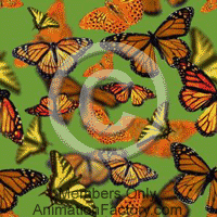 Animals Web Graphic