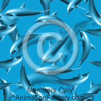 Mammals Web Graphic
