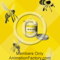 Bees Web Graphic