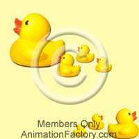 Duckys Web Graphic