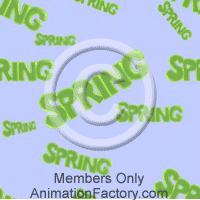 Spring Web Graphic