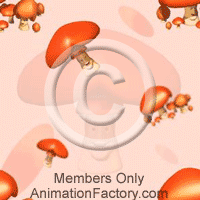 Mushrooms Web Graphic