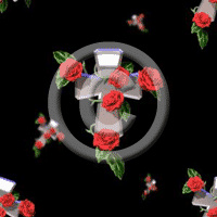 Roses Web Graphic