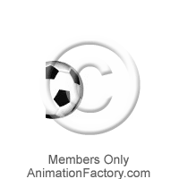 Soccer Web Graphic
