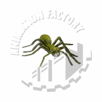 Ant Web Graphic