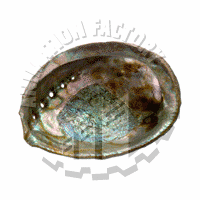 Seashell Web Graphic