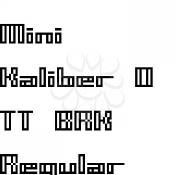 Computer Font