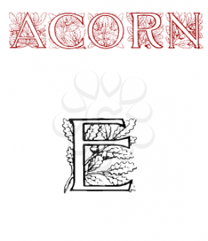 Acorn Font