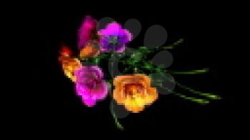 Royalty Free Video of Rotating Long Stem Roses 