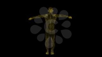 Royalty Free Video of a Rotating Outline of a Human Male 