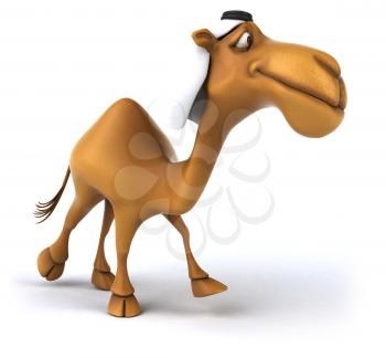 Fun camel