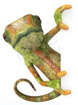Royalty Free 3d Clipart Image of a Chameleon Holding a Sign Board