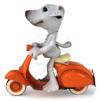 Royalty Free Clipart Image of a Jack Russell on a Scooter