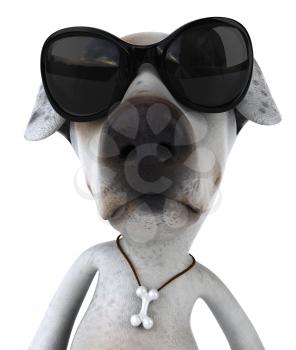 Royalty Free 3d Clipart Image of a Jack Russell Terrier Dog  Wearing Sunglasses