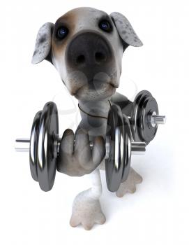 Royalty Free Clipart Image of a Jack Russell Terrier Lifting Weights