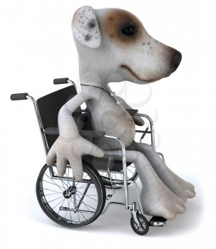 Royalty Free Clipart Image of a Jack Russell Terrier in a Wheelchair