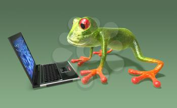 Royalty Free 3d Clipart Image of a Frog Looking at a Laptop