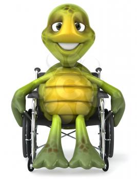 Royalty Free Clipart Image of a Turtle in a Wheelchair