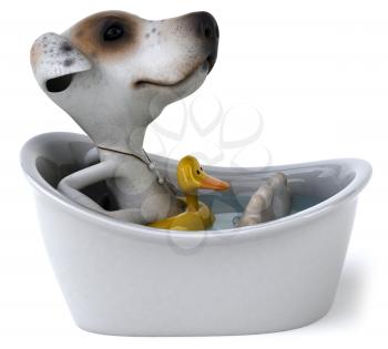 Royalty Free Clipart Image of a Bathing Jack Russell
