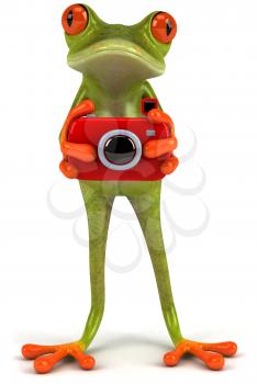 Royalty Free Clipart Image of a Frog With a Camera