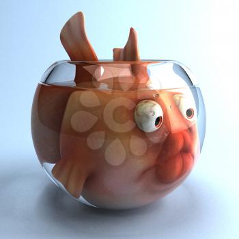 Royalty Free Clipart Image of a Big Fish in a Small Fishbowl