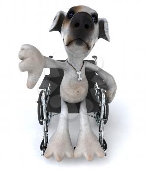 Royalty Free Clipart Image of a Jack Russell in a Wheelchair Giving a Thumbs Down