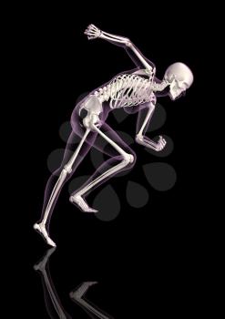 3D render of a medical female skeleton in a running pose