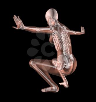 3D render of a female medical skeleton in a yoga position