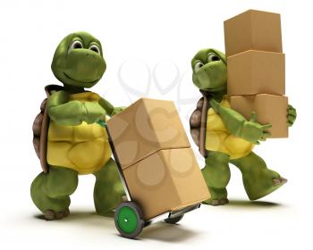 3D render of a Tortoise with boxes for shipping