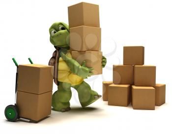 3D render of a Tortoise with boxes for shipping