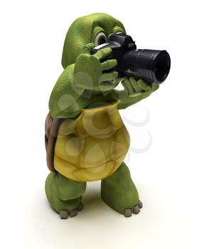 3D render of a Tortoise with slr camera