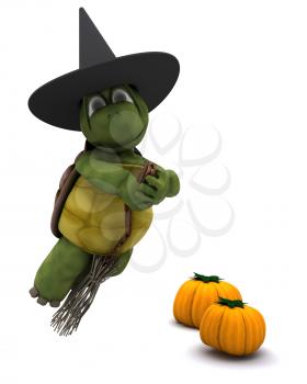 3D Render of a tortoise dressed as a witch for halloween