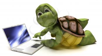 3D render of a Tortoise on a laptop computer