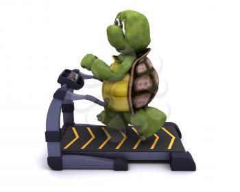 3d render of a tortoise running on a treadmill