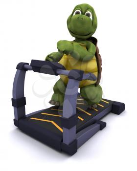3d render of a tortoise running on a treadmill
