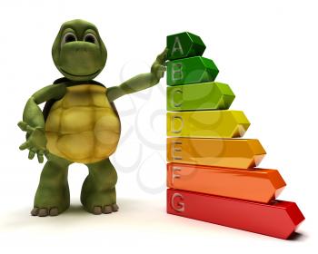 3D Render of a Tortoise with energy ratings