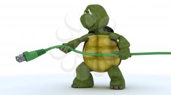 3D render of a tortoise with RJ45 cable