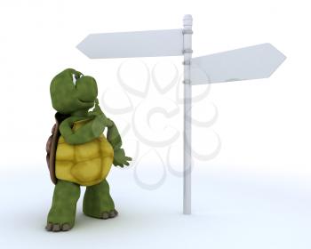 3D render of a tortoise with sign post
