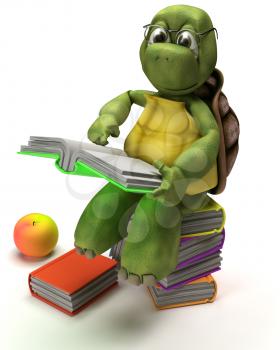 3D Render of a Tortoise reading a book 